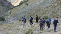 image8
